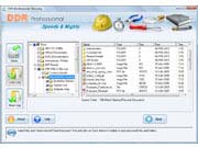 DDR Professional Data Recovery Software - Software Screenshot