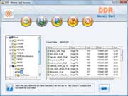 Memory Card File Recovery Tool Screenshot