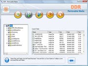 Removable Media File Recovery Tool Screenshot