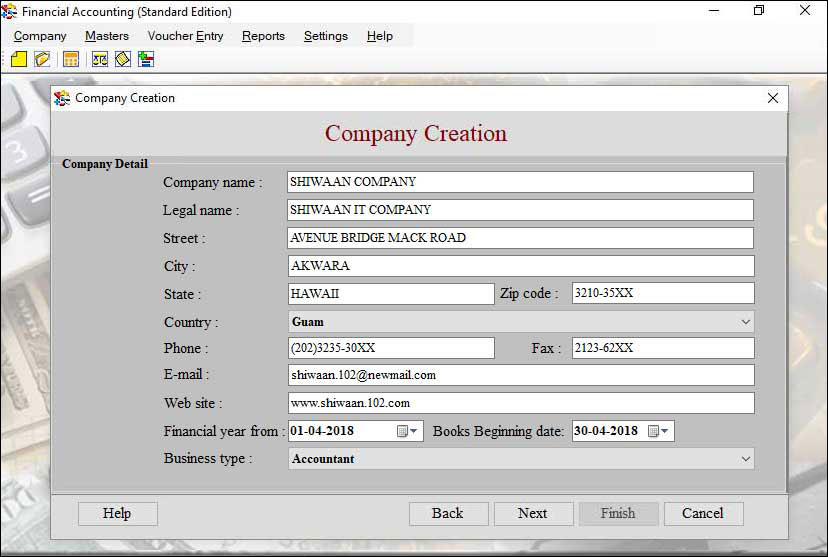 Professional Accounting Software screen shot