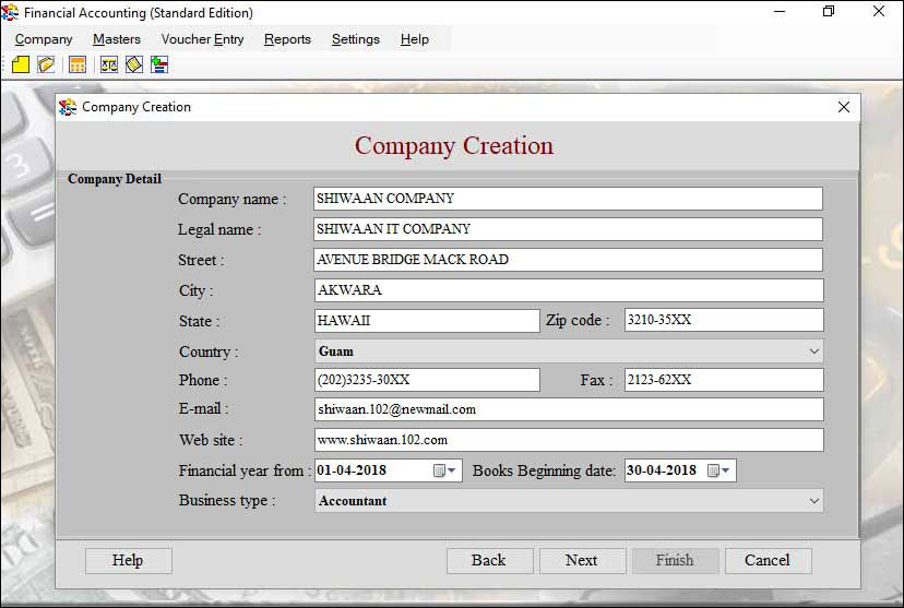 Screenshot of Professional Accounting Software