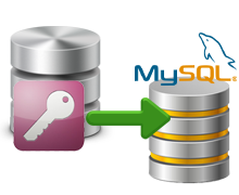 MS Access to MySQL Database Converter